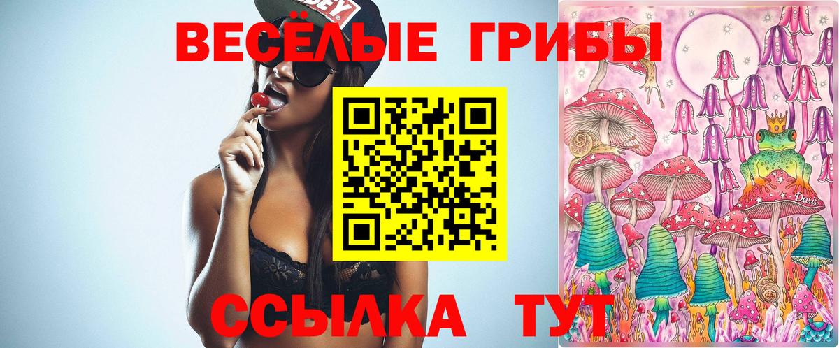 Галлюциногенные грибы Psilocybe  Вход с VPN  Норильск 